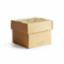 Burger Box Premium 5" (100) BOX005 Vegware