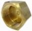 Cap 3/4" BSP Brass