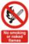 Sign "No Smoking/Flame" S/A 200x300mm PVC 0555