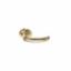 Furniture Lever on Rose PB 6640 Assa (Sprung)