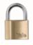 Padlock Brass 40mm Long Shack 713/40HB63 C