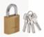 Padlock Brass 50mm H/Sec Hex Shackle 1155D