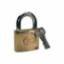 Padlock 38mm Brass H/D Long Shackle M1995CA