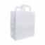 Carrier Bag Paper White Med 8x3x10" (250) CB302B