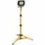 Site Light 110V LED Sing Head/Tripod FPPSLT35VL