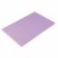 Chopping Board Allergen Purple 450x300x12 GL295